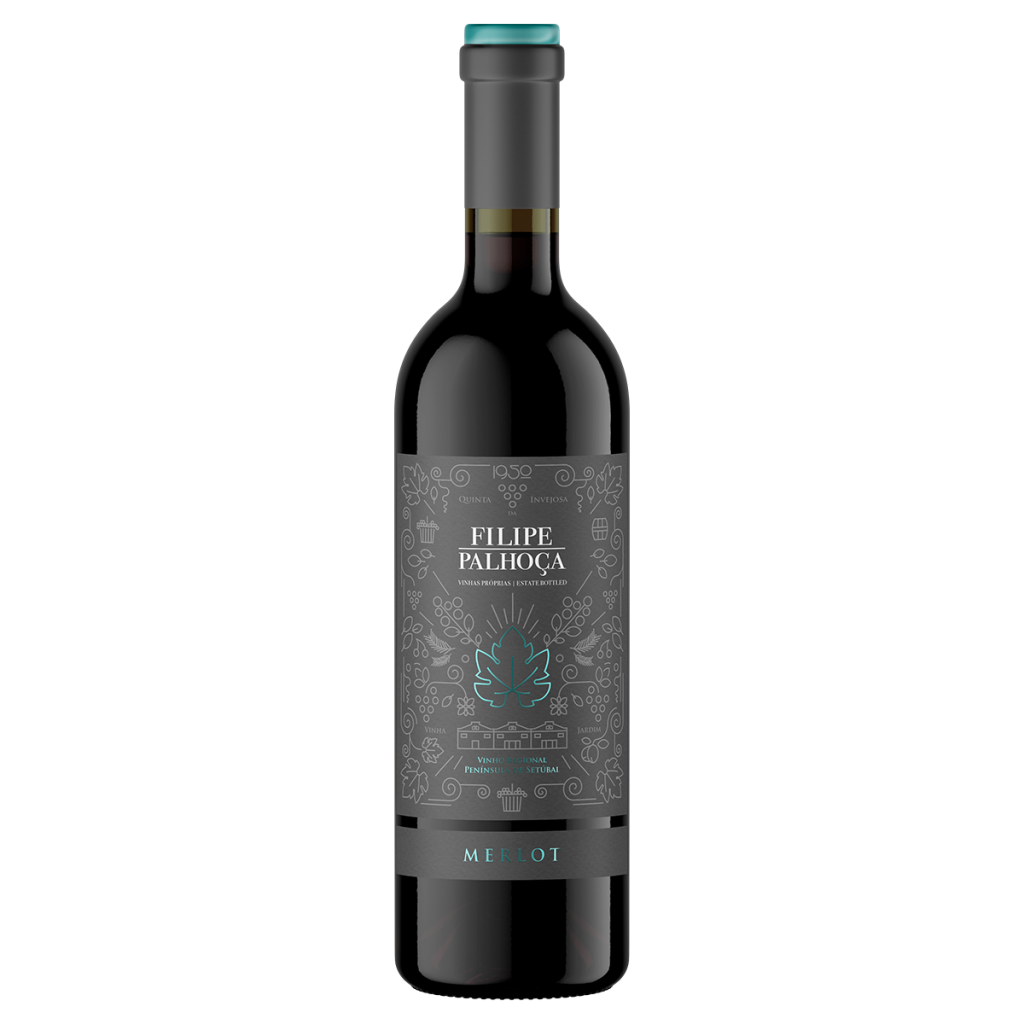 Filipe-Palhoça-Merlot