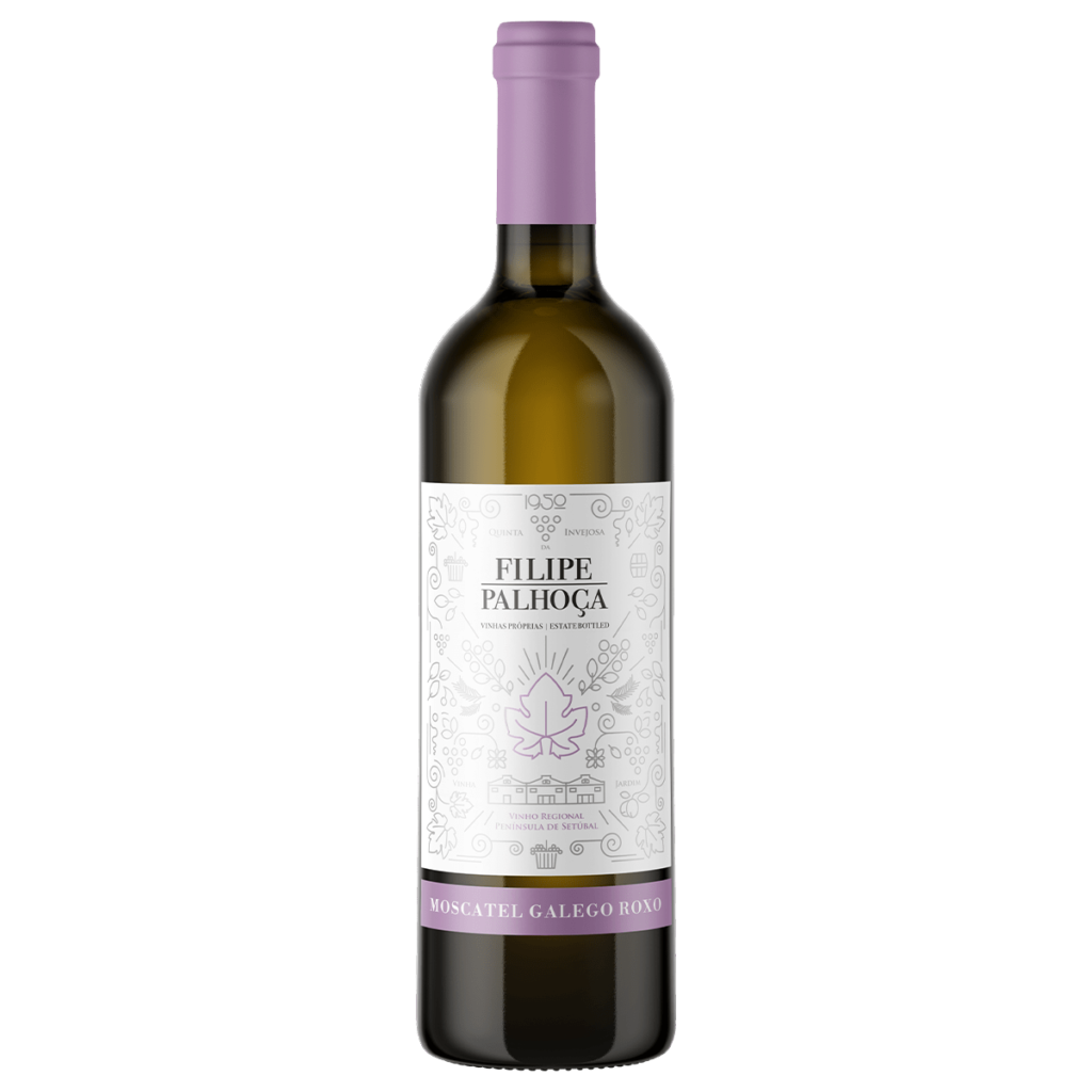 filipe-palhoca-moscatel-galego-roxo-min
